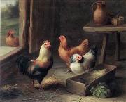unknow artist poultry  161 oil painting reproduction